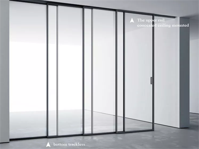 How about black frame glass sliding door?