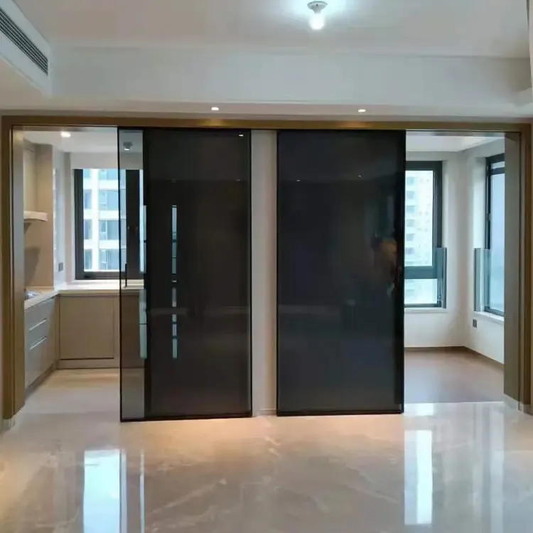 HDSAFE Black Glass Sliding Door No Bottom Track Aluminum Frame 2 Panel Interior Sliding Door Modern