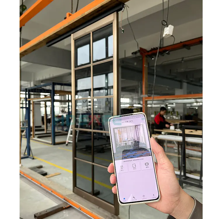 HDSAFE Sliding Automatic Door Manufacturer Mobile APP Auto Slide Door Interior Office Building Home Automatic Glass Sensor Doors